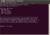 Screenshot-ubuntu@ubuntu: ~-Downloads-1.png